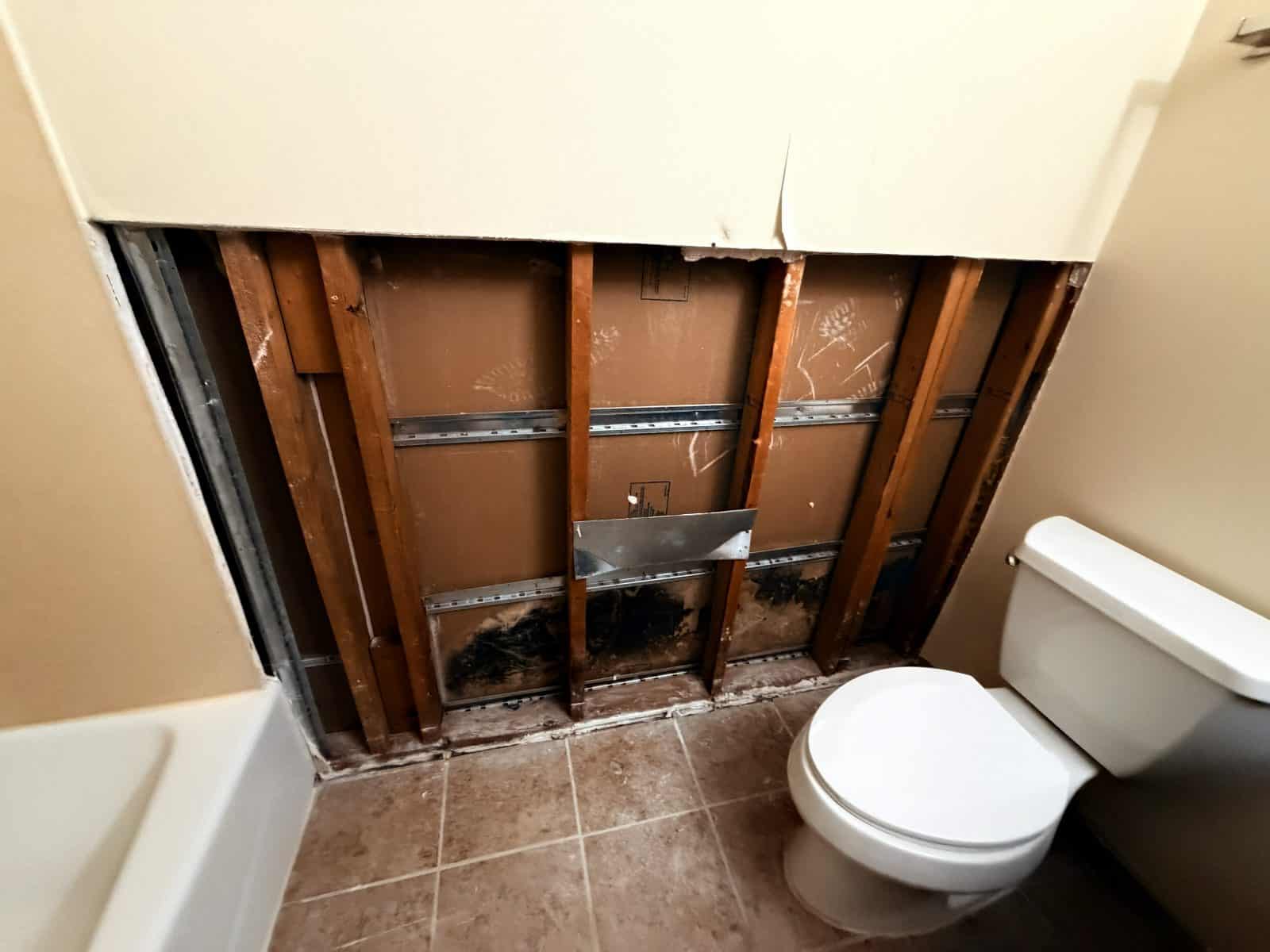 Bathroom wall opened to the studs, showing mold growth on the back of the sheathing at floor level after water damage