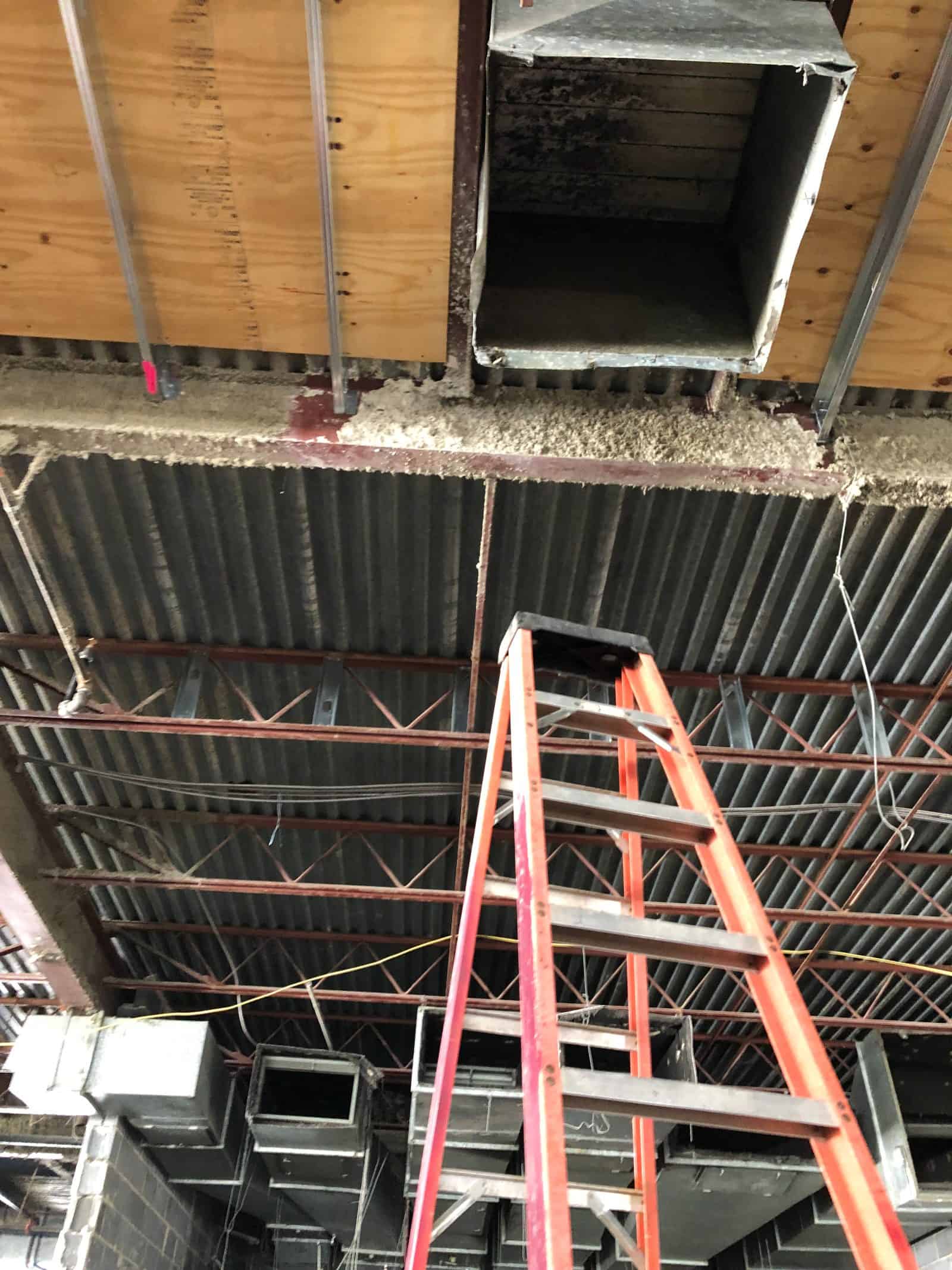Sprayed-on fireproofing on a structural steel deck above a suspended ceiling, exposed for abatement access